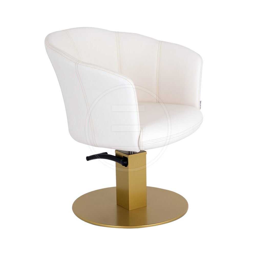 Celine Qsl Color barber chair - Image 3