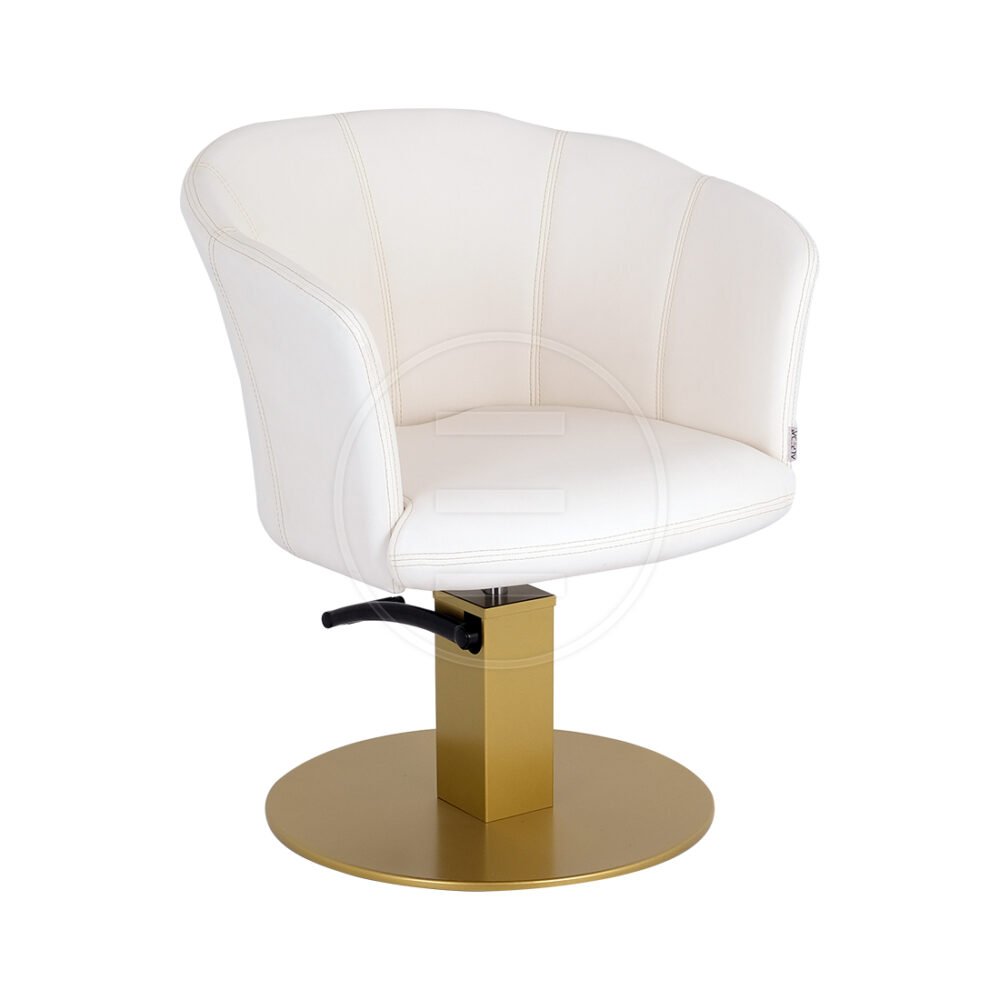 Celine Qsl Color barber chair